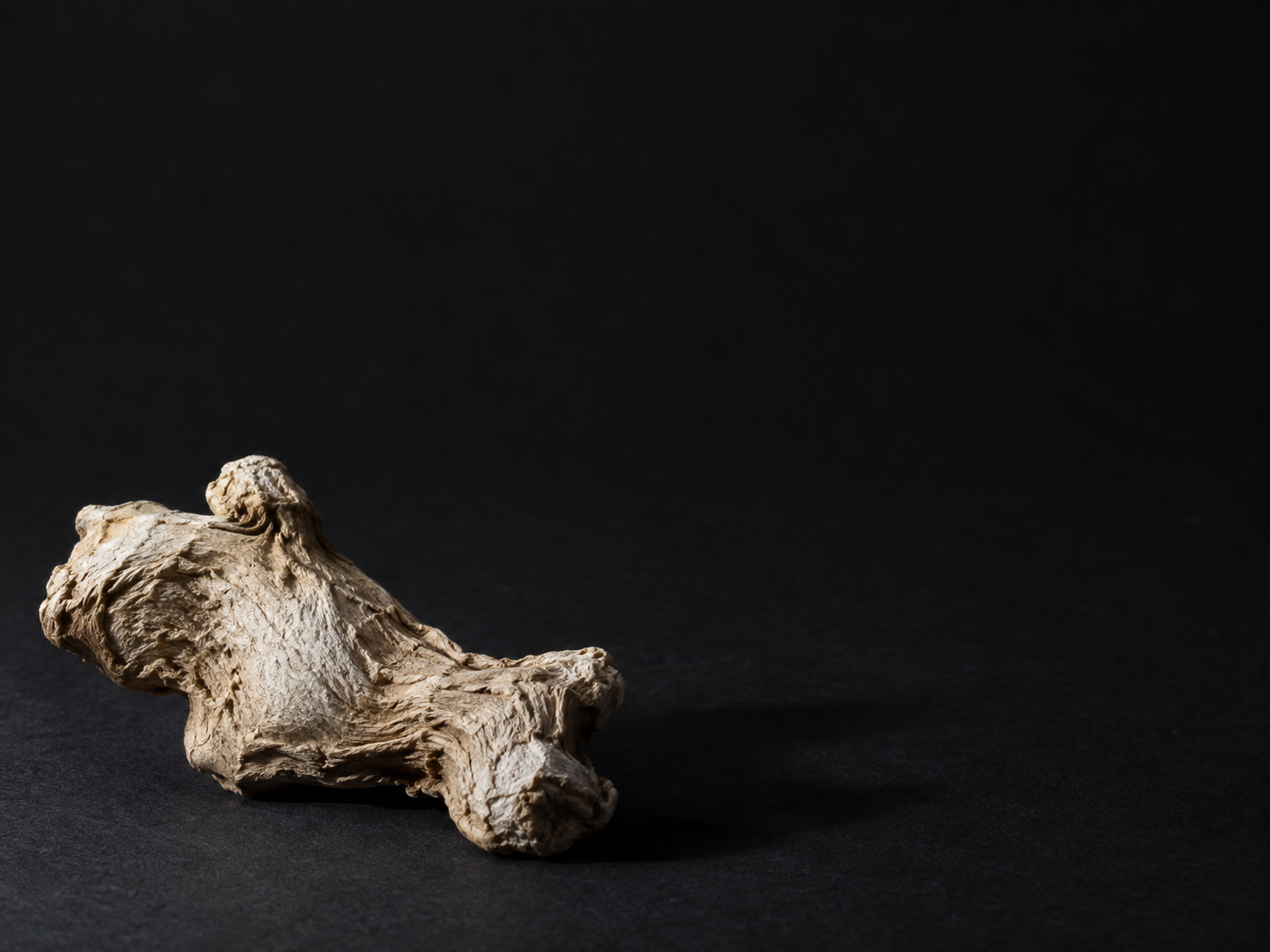 One piece of dried ginger on a dark matte surface